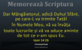 /album/ana/a996526-480925378657779-1222589058-n-copy-png/